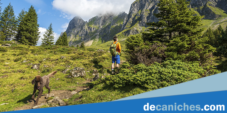 Vista de un hombre con su caniche haciendo senderismo por la Sierra Torre Blanca de los Picos de Europa de Cantabria.