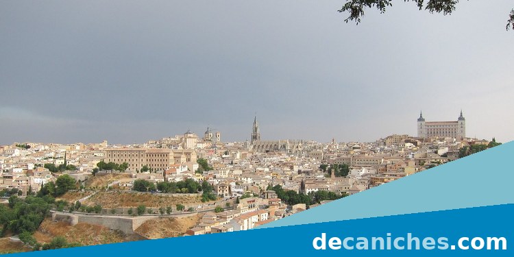 comprar caniche en Toledo