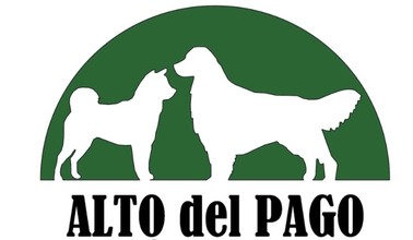 Logotipo de Alto del Pago