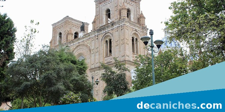Caniche para valorar compra responsable en Cuenca
