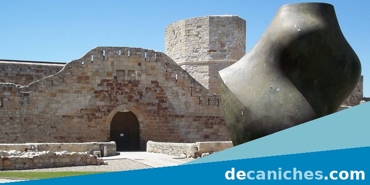 Caniche para valorar compra responsable en Zamora